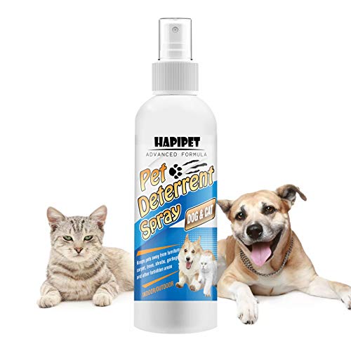 pet corrector spray petco