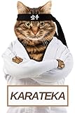  KARATEKA: Journal de bord pour les passionnés de KARATE (adultes et enfants)  Notez vos entrainements, vos compétitions, les techniques apprises...  100 fiches techniques