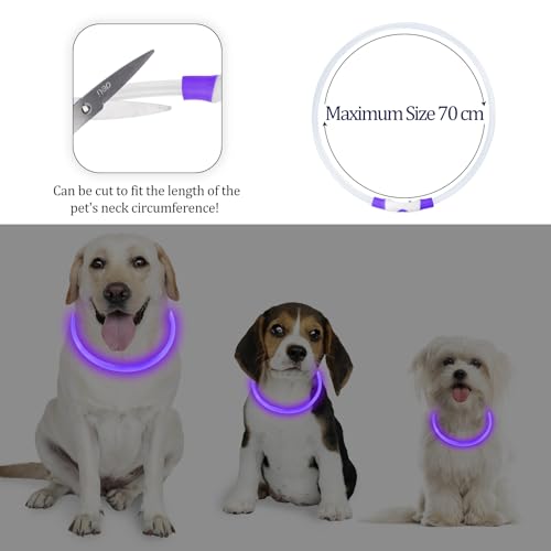 Coolzon LED Leuchthalsband Hundehalsband Aufladbar, Wasserdicht Halsband Hund 3 Modi, Leuchtband Hund Halsband Längenverstellbareres Super Helle Kalsband Katze und Hunde Klein Groß Mittel, Lila