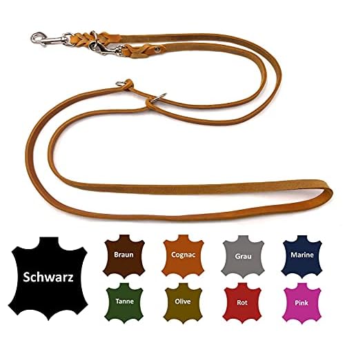 Hundeleine aus Leder - mehrfach verstellbare Führleine 2,40m - Hunde Lederleine extrem Stabil mit Edelstahl-Karabiner - Echt-Leder Leine Sammy (Dunkelbraun) 2 Hundeleine Fettleder kleine Hunde / große Hunde 2m / 2,40m / 2,80m / 3,50m / 5m Doppelleine verstellbar (2m X 12mm, Cognac)
