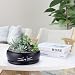 Koolkatkoo Cat Ceramic Succulent Planter Pot with Drainage Hole and Tray Flower Pot for Indoor and Outdoor Plants Round Shallow Planter Gifts for Cat Lovers