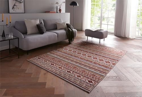 Taracarpet moderner Luxus kurzflor Teppich Orient-Teppich New Oriental Ethno Tribal Muster für Wohnzimmer Schlafzimmer und Esszimmer bunt 140x200 cm
