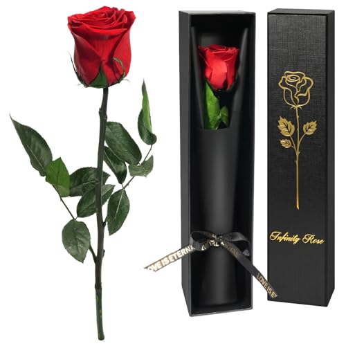 Yamonic Rosa Eterna San Valentin Regalos Mujer, Rosa Preservada