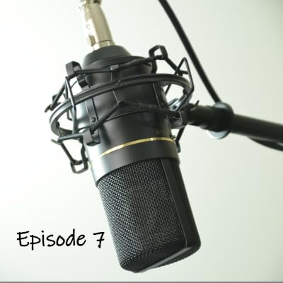 Episode 7: Erinnerungsorte und Ausschusssitzung Podcast Por  arte de portada