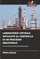 Laboratorio Virtuale Applicato Al Controllo Di Un Processo Industriale (Italian Edition) 6200754047 Book Cover