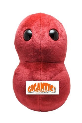 giant microbes gigantic