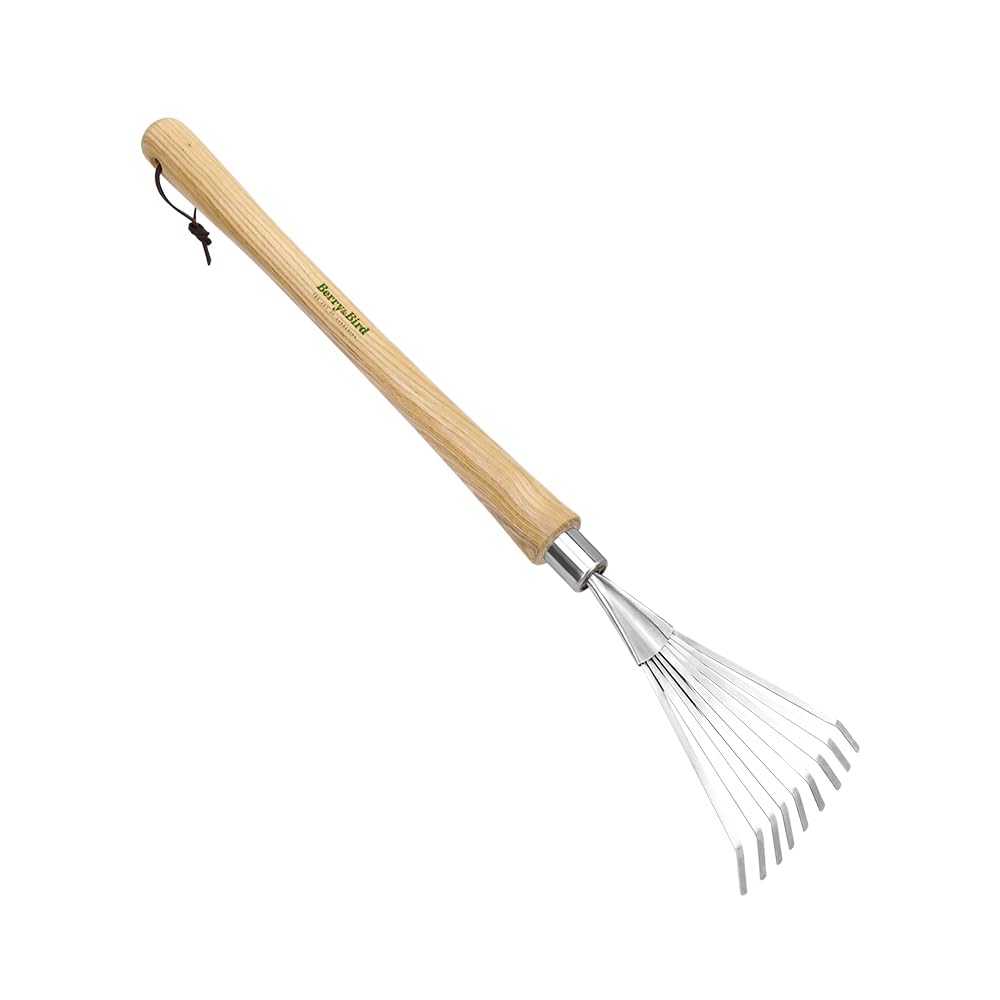 Balai à main long balayette bois terrasse outils nettoyage jardin