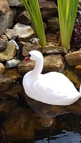 Miniatura 3 de Señuelo de cisne flotante blanco, pequeño señuelo de cisne mudo blanco flotante (plástico) estanque, patio, piscina y señuelo de jardín acuático