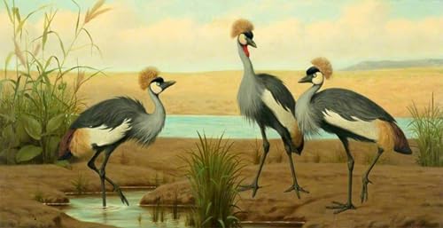 Affiches d'illustration de grues couronnées pour salon et bureau élégant