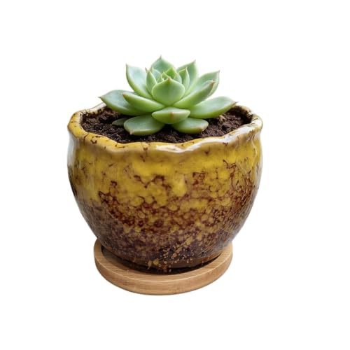 SJBAG Cute Circular Ceramic Home Garden Decoration Succulent Cactus Flower Pots Container -Plant Not Included (Yellow, 3.9 Inch)