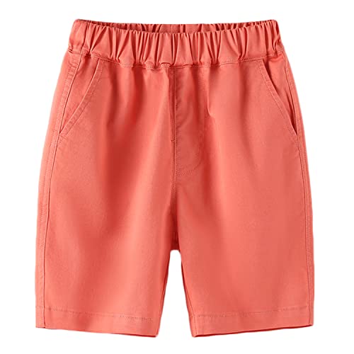 [Enfants Cheris] q j̎q n[tpc Y{ ܕ {[CY Zp V[gpc   ĕ JWA n LbY WjA wZ Xgb` EFXgS IW 170