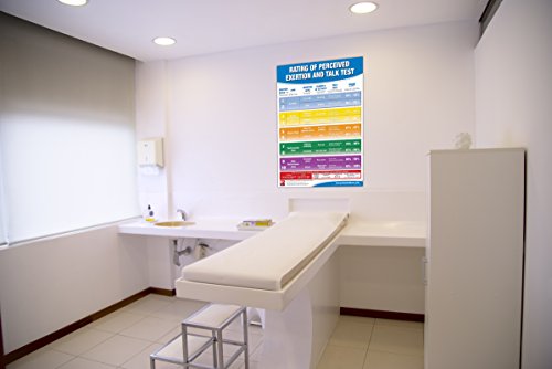 Rating of Perceived Exertion Chart/Poster; RPE Poster - Talk Test Chart - Fitness Posters for Gyms - Borg Scale - Heart Beats per Minute - Fitness Heart Rate - Exercise Intensity Rating Scale