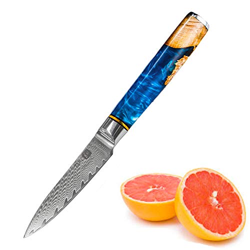 Fukep Paring Knife - 35 Inch Small Fruit Knife - Anti-Rusting Full Tang Damascus Knife VG 10 Stainless Steel Classical Pattern Handle