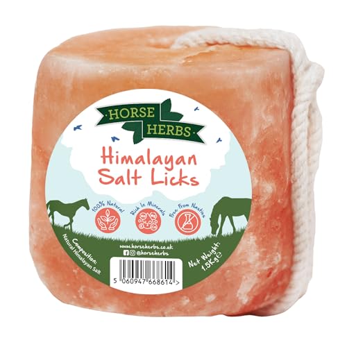 Horse Herbs Himalayan Salt Lick 1.5kg | 100% Natural Equine Supplement Digestion Support for Horses & Ponies Ideal for Hydration & Electrolytes Easy to Hang