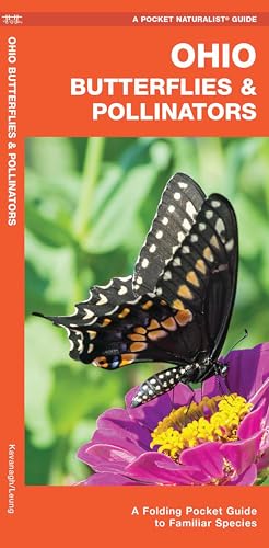 Ohio Butterflies & Pollinators (Nature Observation North America)