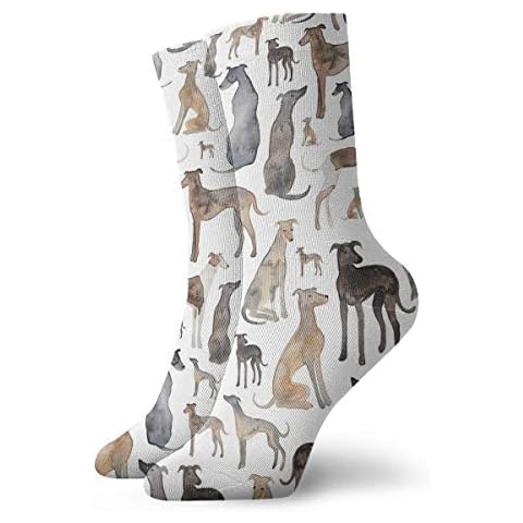 QMS CONTRACTING LIMITED Greyhounds, Wippets And Lurcher Dogs! Painting Classics Compression Socks Athletic Long Crew Socks For Men Women 11.8inch(30cm) Cover