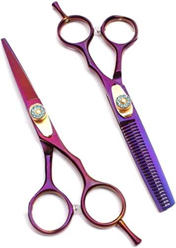 Ciseaux de coiffure 6 pouces avec kit complet et sac de rangement