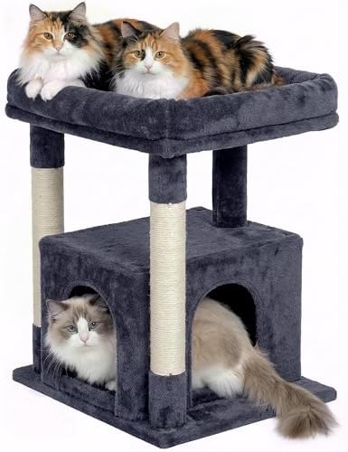 23.6" Cat Tree for Large Cat, 19 * 15.8 in Large Perch, Dark Gray...