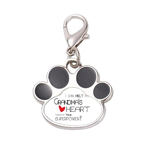 DIYthinker?I Can Melt My Grandma's Heart Nana Pet Tag Keychain Dog Cat ID