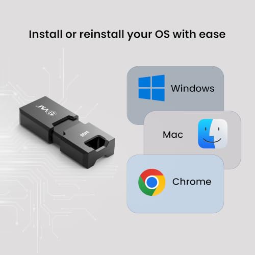 Image of EVM EnC 256GB Type-C USB 3.2 Gen 1 Flash Drive | Impressive 120MB /s Read| Sleek Compact Modern Design | Integrated Convenient Key Loop | Versatile Portable Storage | 10 Years Warranty (ENC /256GB)
