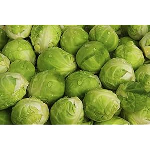 Sanda zaden, 30 zaden – groenten, tuin, groenten, fruit, groenten, biologische methode.