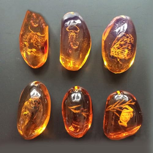 Milisten Bernsteinfossil mit Insektenproben Steine ​​Kristallproben Wohnaccessoires Sammlung Ovaler Anhänger für Kinder (Zufällig) 2St