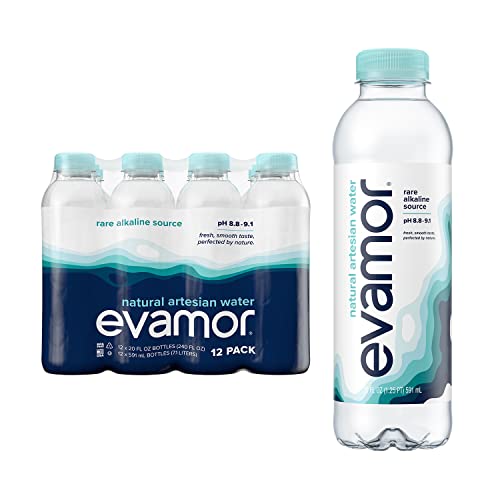 Evamor Natural Alkaline Artesian Water, 20-oz Bottles (Pack of 12) #1