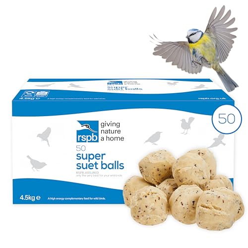 RSPB - Fat Balls for Wild Birds, High Energy Suet Balls, Made in the UK, Delicious and Nutritious Bird Food, Suitable for Year-Round Feeding (Box of 50)
