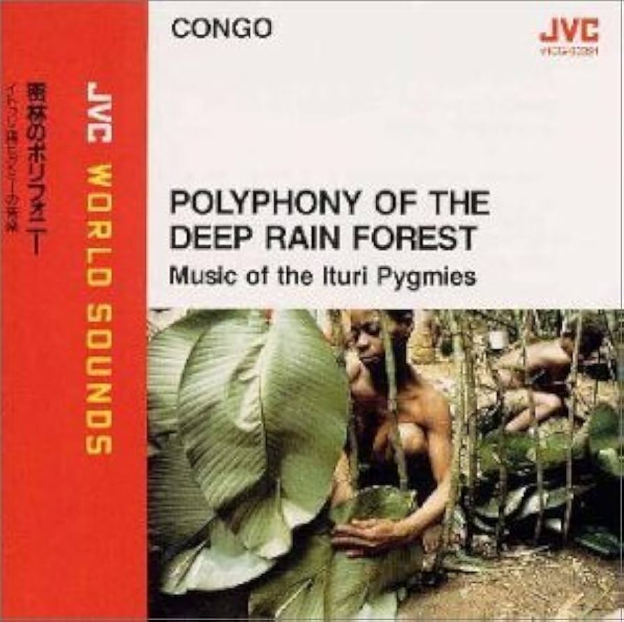 MUSIC OF THE RAIN FOREST PYGMIES（CD・希少） Amazon.co.jp: 密林のポリフォニー ～イトゥリ森ピグミーの音楽