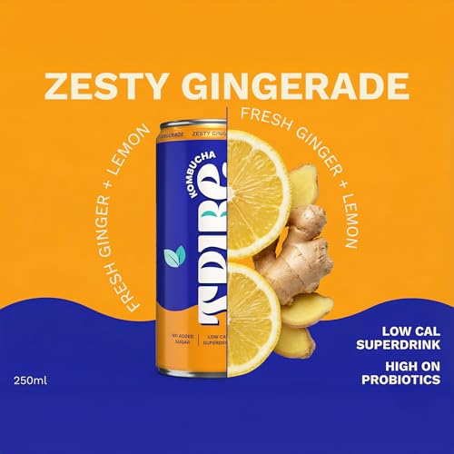 Image of Tribe Kombucha Probiotic Super Drink | Supports Gut Health | Gluten-Free | Naturally Fermented | Super Refreshing | Gut Friendly | Improves Blood Sugar | Antioxidant and Hydration | No Added Sugar |250 ML X 2 (ZESTY GINGERADE)