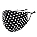 Produktbild Mund-Nasen-Maske Dots Behelfsmaske Stoffmaske 100% Baumwolle Farbe schwarz