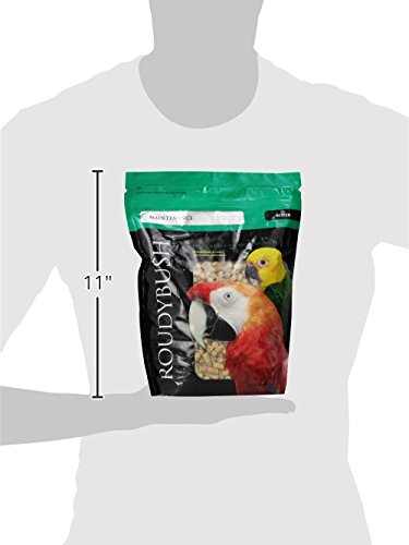 Roudybush Senior Bird Diet, Medium, 44-Ounce #TOP2