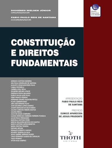 Constituição e Direitos Fundamentais