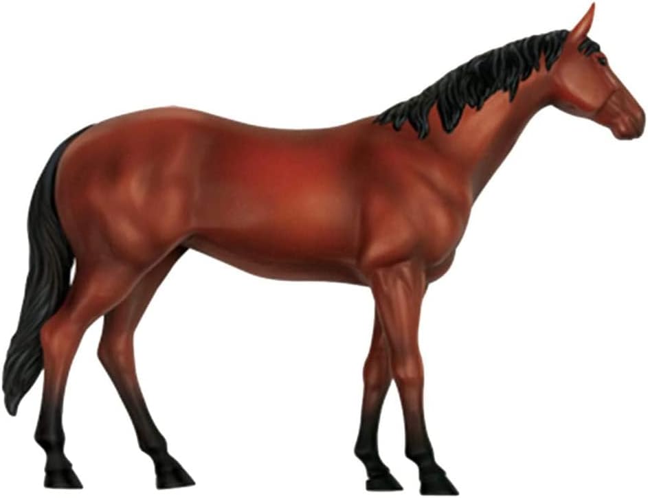 【MERAXI】最終セール！馬の解剖モデル 26ピース 馬の解剖モデル 動物生物学 スケルトン 臓器解剖モデル 取り外し可能なパズル