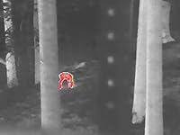 Review Image by B. Parker