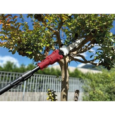Archman PE04AT Svettatoio Sega ad Asta Telescopica/Potatore a Catena a Batteria, Lunghezza Massima di 2,7 m, Lama da 20 cm, 2 Batterie da 21v 4.0ah,Ultra leggero peso 2,9 kg,Motore Brushless 800watt