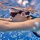 Energy Sistem AquaSport Bluetooth-Kopfhörer (Bluetooth 5.4, 11 Stunden Akkulaufzeit, Mikrofon, MP3-Player, wasserdicht)