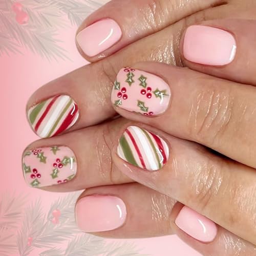 24 ̃|X`NX}XJo[ ACXfBAt & zf[p[eB[ & ~̃NX}Xp[eB[plH