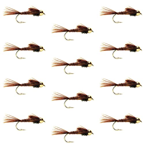 The Fly Fishing Place Bead Head Pheasant Tail Nymph Fly Fishing Flies - Trout and Bass Wet Fly Pattern - 12 Flies Hook Size 16 - One Dozen