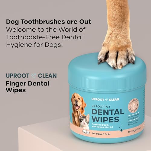 Image of Uproot Clean Pet Dental Finger Wipes for Dogs & Cats (50ct.): Easy & Effective Cat and Dog Teeth Cleaning Wipes - Dog Dental Tissues for Plaque, Tartar, & Bad Breath - Safe, Rinse-Free, Disposable