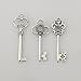 LolliBeads (TM) Antiqued Silver Skeleton Key Sets Tibetan Silver, Filigree Steampunk Keys (30 Pcs)