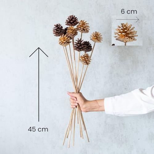 Image of Golden & Brown Pine Cone 10 Sticks |Home Decor and Vase Fillers