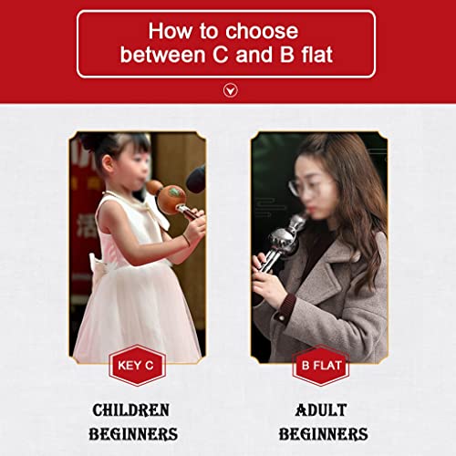 Flutes Hulusi C, Professional Performance Type Rosewood Hulusi, Cucurbit B Flat Chinese Traditional Instrument, For Beginners Musical Amateurs (Color : Black, Size : B Flat) #TOP2