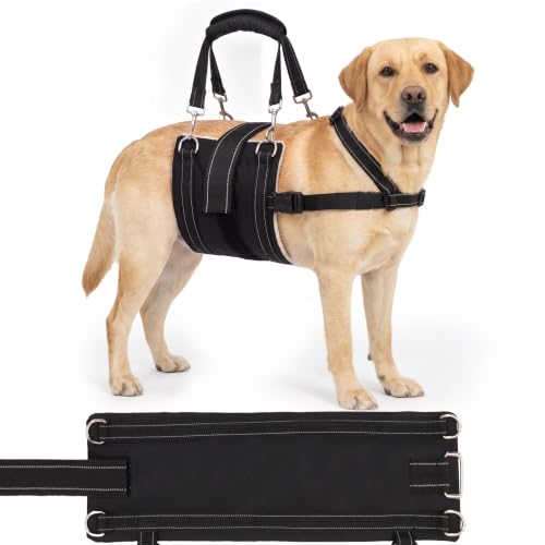 CWV Adjustable All Dog Lift Harness for Large Dogs, Large
