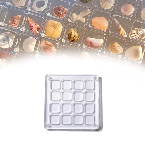 Acrylic Magnetic Seashell Display Box - Versatile 16/36/64/100 Grid Display Organizer for Gems, Beads & Keepsakes,Decorative Seashell Starfish Trinket Storage (16 Grids)