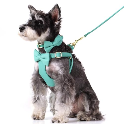 Beirui Adorable Small Dog Harness Collar and Leash Set,Cute Puppy Harness Set with 3 Bows for Small Dogs,Shih Tzu,Dachshund,Adjustable Step-in Vest for Daily Walking,Parties&Holiday Outfits(Teal,S) - Image 5