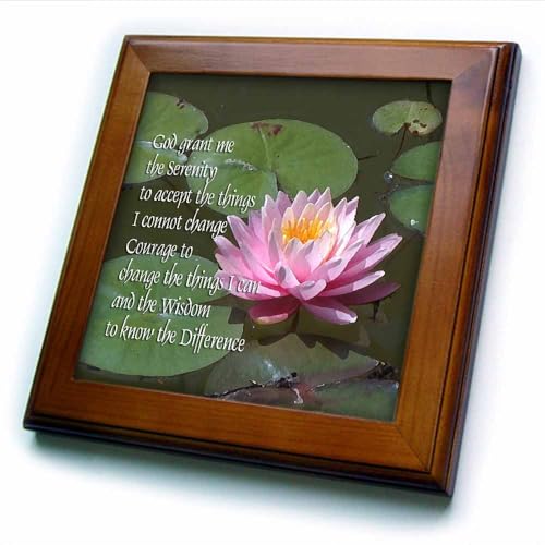 3drose Serenity Prayer Framed Tile, 8 by 8-Inch