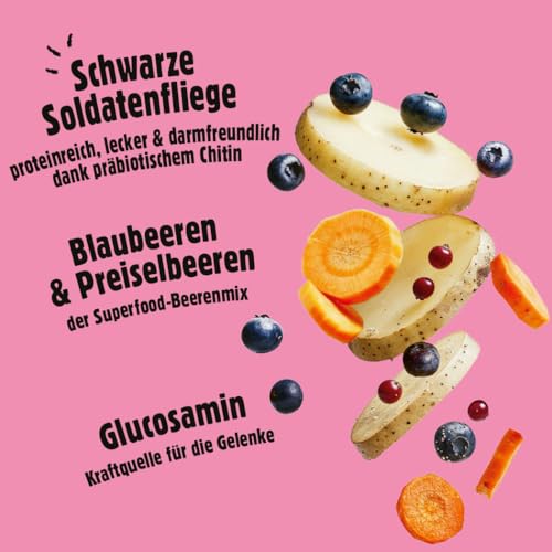 Fellows Großer Chaot Trockenfutter für heranwachsende Hunde – Speziell für Welpen großer Rassen, mit Insektenprotein, Krill und Ei, fördert gesundes Wachstum (500 g)
