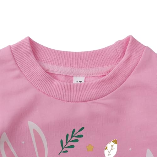 RETSUGO Toddler Baby Girls Sweatshirts Casual Pullover Crewneck Winter Long Sleeve Tops Shirts Clothes 3T-8T4