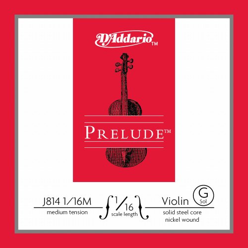 Corde de violon Sol 1/16 D'Addario Prelude J8141/16M pour l'apprentissage quotidien